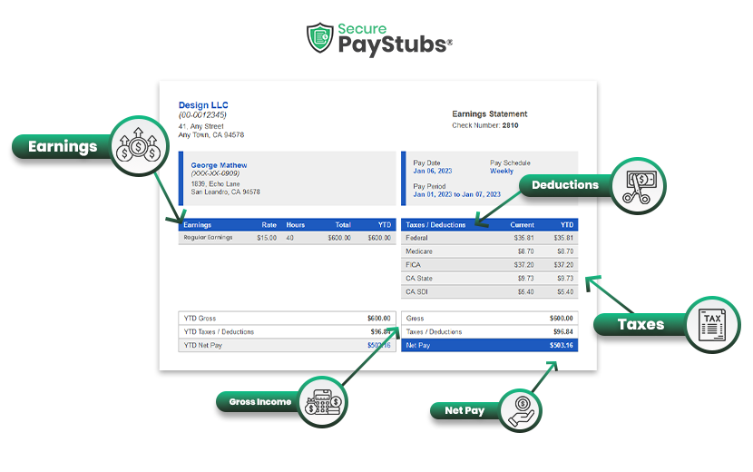 Components of a pay stub